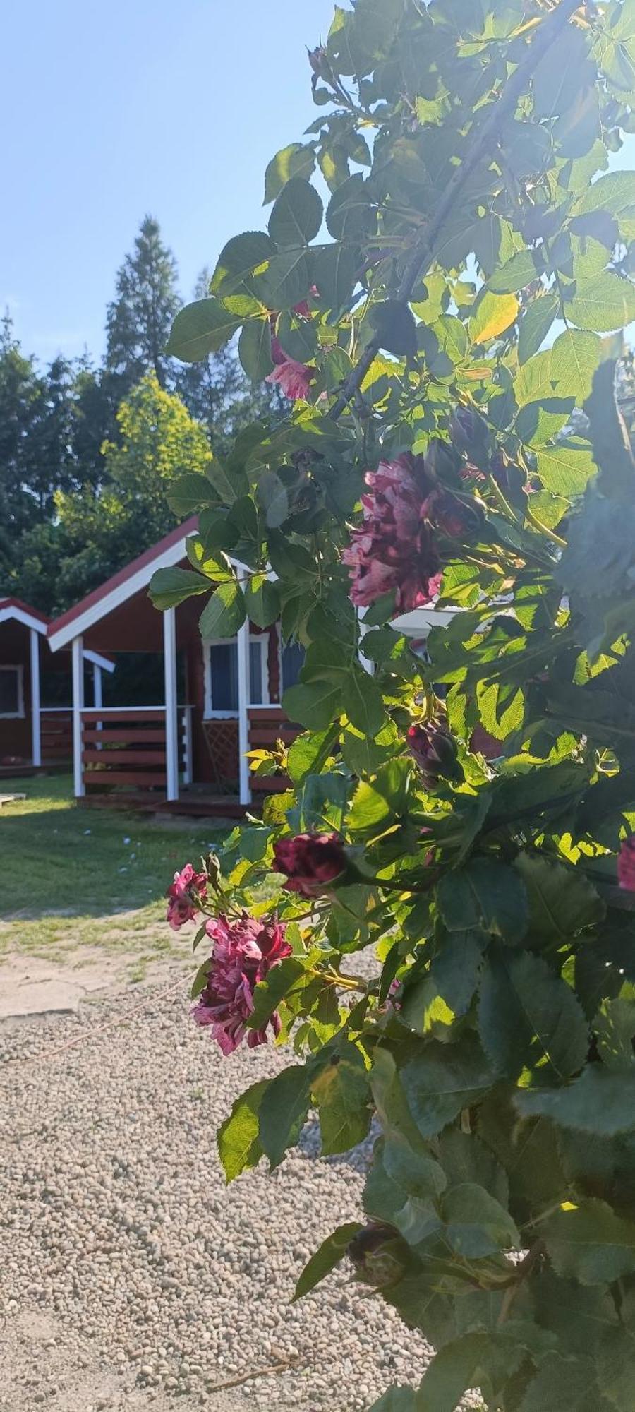Villa Na Zaciszu Dziwnówek Exterior foto